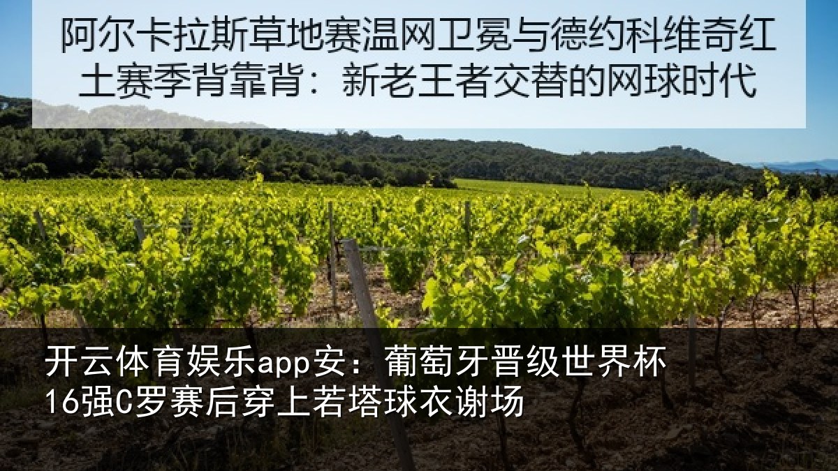 开云体育娱乐app安:葡萄牙晋级世界杯16强罗相关情况谢场