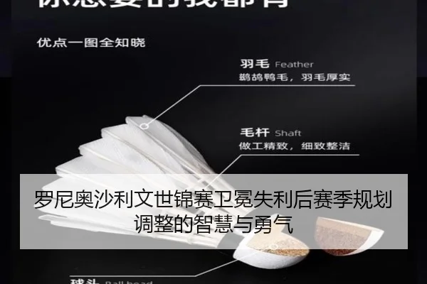 罗尼奥沙利文世锦赛卫冕失利后赛季规划调整的智慧与勇气