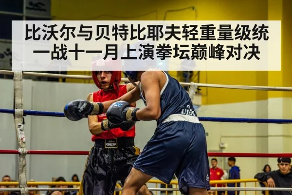 比沃尔与贝特比耶夫轻重量级统一战十一月上演拳坛巅峰对决