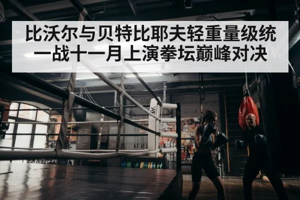 boxer training