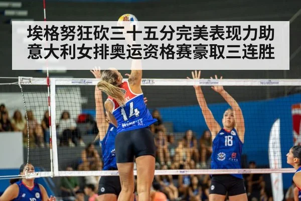 volleyball match action