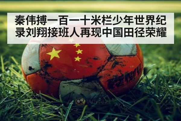 秦伟搏一百一十米栏少年世界纪录刘翔接班人再现中国田径荣耀